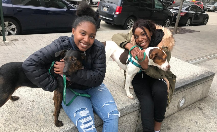 Madison Boykin and Vanessa Valentine took two dogs for a walk and play-time in the DC area.