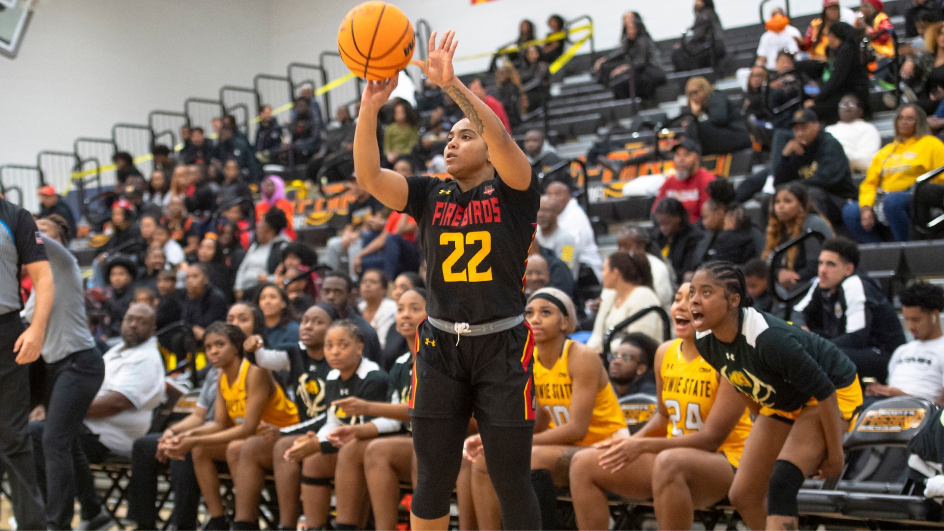 UDC Women’s Basketball Falls to Holy Family University in Season Opener